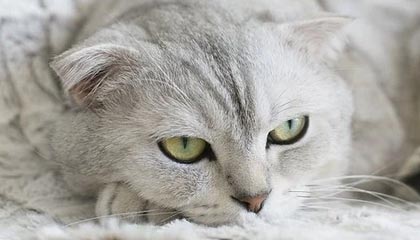 爱游戏在线登录-新疆广汇退赛风波持续发酵，新疆广汇吧百度贴吧