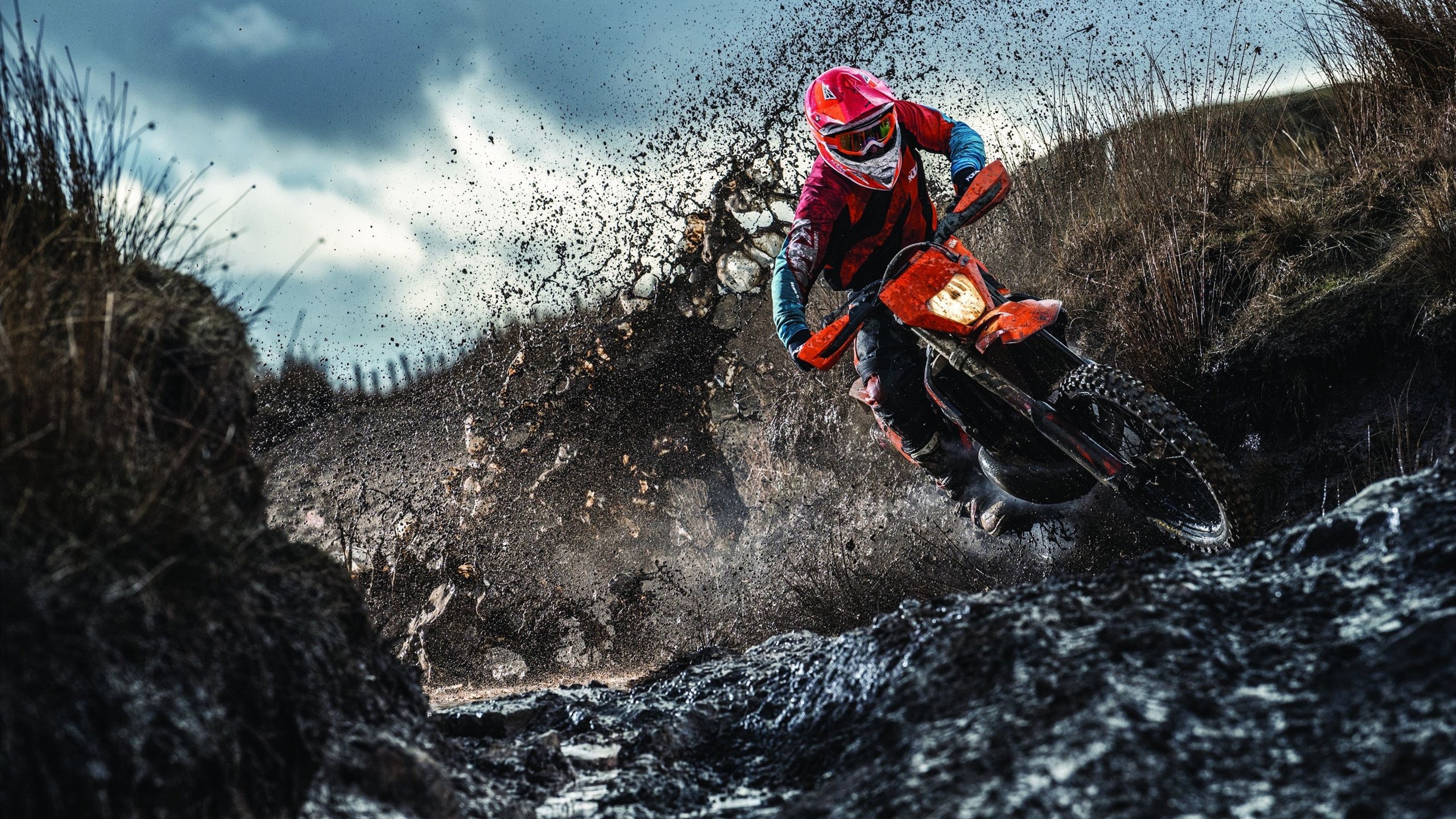 _国际游泳节：水中世界的精彩碰撞_，2021国际游泳比赛